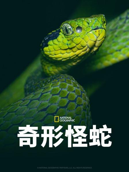 香蕉福利直播《奇形怪蛇》免费在线观看